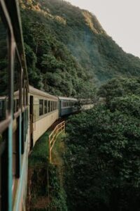 A train traveling through a dense green forest along a mountainous terrain, showcasing nature's beauty.